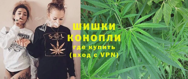 прущий лед Алзамай