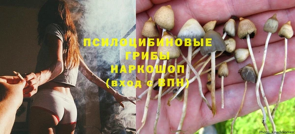 прущий лед Алзамай