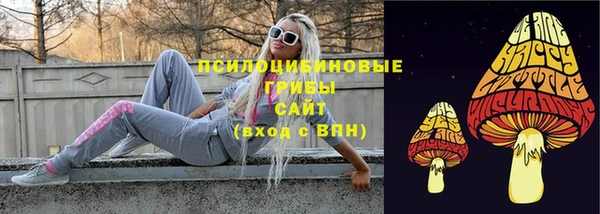 прущий лед Алзамай